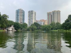 -晓港公园