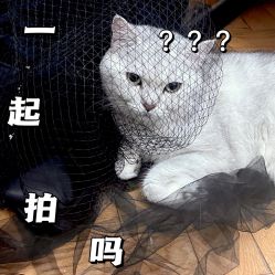-金夫人婚纱摄影(总店)