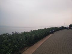 -深圳湾公园(南山区)