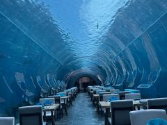 -涛·海底餐厅·美人鱼·自助餐·海底隧道(三亚海棠湾洲际度假酒店)
