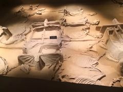 -洛阳周王城天子驾六博物馆