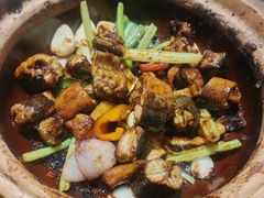-天宝食坊·啫啫煲大排档(西华路店)
