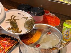 -苏格里岛自助烤肉海鲜火锅(成都金牛万达店)