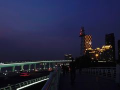 -演武大桥观景平台