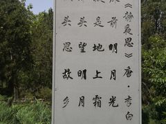 -大兴滨河森林公园