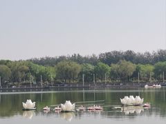 -廊坊文化艺术中心