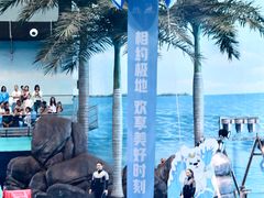 -海合安成都极地海洋公园