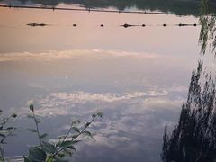 -西湖游船