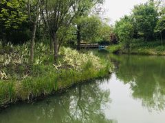 -梁鸿国家湿地公园