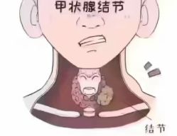-丽减美瘦吧·减肥瘦身
