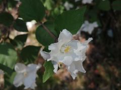 -仙居谷风景区