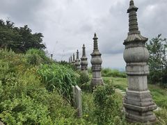 -长沙黑麋峰国家森林公园