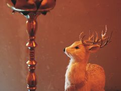 -叶叶菩提(太原别墅店)