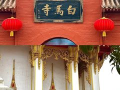 -洛阳古墓博物馆