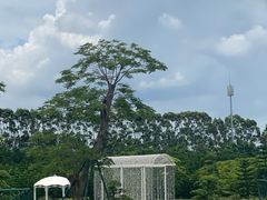 -迪茵湖田家舍生态农场