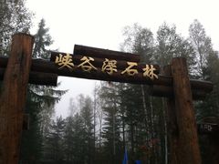 -峡谷浮石林景区