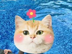 -嘉和K6温泉微度假