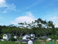 -中国茶叶博物馆(双峰馆区)