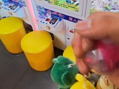 -PAWTOY爪e玩偶店(天兴罗斯福店)