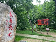 -洛阳白云山景区