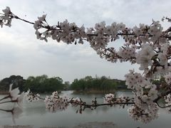 -新江湾城公园