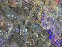 -澜悦港海鲜体验主题餐厅
