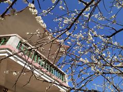 -广州市流溪河国家森林公园