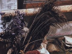 -馬蘭花開(车站大道店)