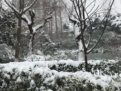 -郑和公园
