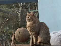 -青藏高原野生动物园