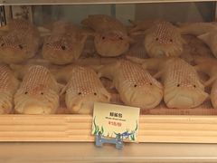 -长隆海洋王国-海洋大街餐厅