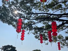 -广州莲花山旅游区