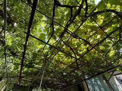 -新月斋(豆瓣胡同店)