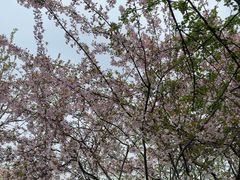 -玄武湖景区-情侣园游乐场