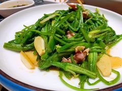 炝炒海菜-一品滇香·云南菜(公益西桥店)