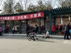 -西海子公园