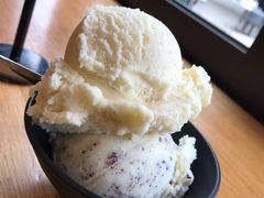 -Patagonia Chocolates(皇后镇店)