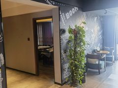 -梵猫·新养生(湛江鼎盛店)