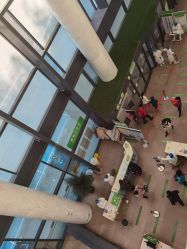 -大连市妇女儿童医疗中心(希望广场儿童院区)