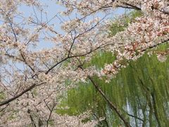 -西北湖绿化广场