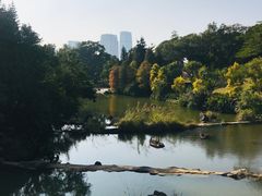 -云溪植物园