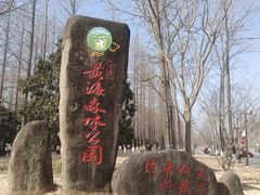 -黄海国家森林公园