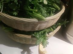 -田趣园
