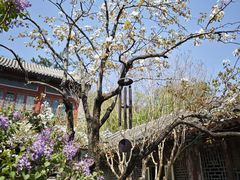 -潭柘寺景区