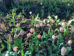 景点-长春公园(普阳街道)