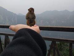 -重庆云阳龙缸景区