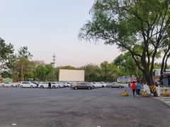 -枫花园汽车电影院(朝阳公园店)