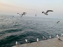 -星海广场