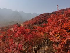 -周口店坡峰岭风景区