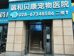 -谐和贝康宠物医院24小时·宠保定点(急重症转诊中心)